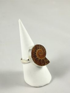 Ammonit Ring Madagaskar bei Singer Wien