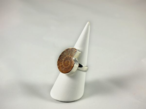 Ammonit Ring und 925 Silber Singer Wien
